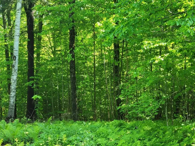 $110,000 | 0 West Road, Bethel, VT 05032