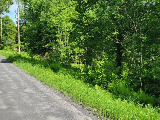 $110,000 | 0 West Road, Bethel, VT 05032