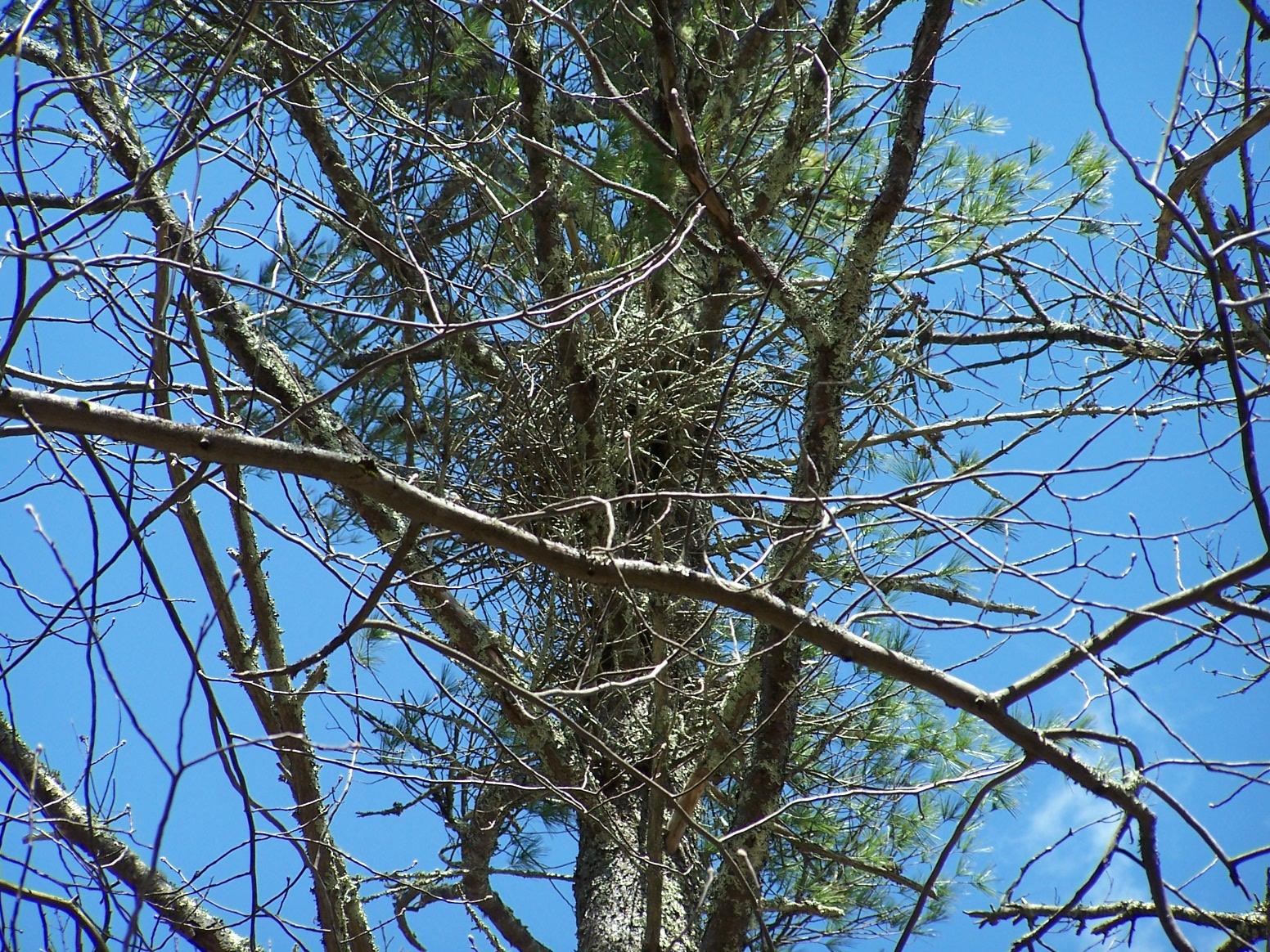 Tm9-l8 Case Road Nottingham, NH 03290 - Photo 13 of 24