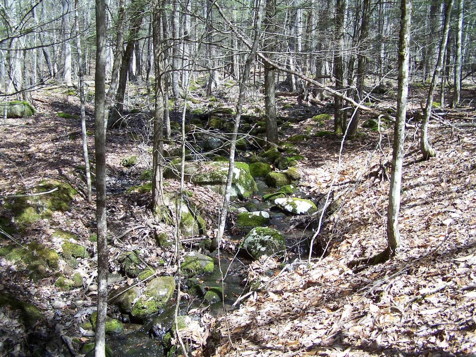 Tm9-l8 Case Road Nottingham, NH 03290 - Photo 7 of 24
