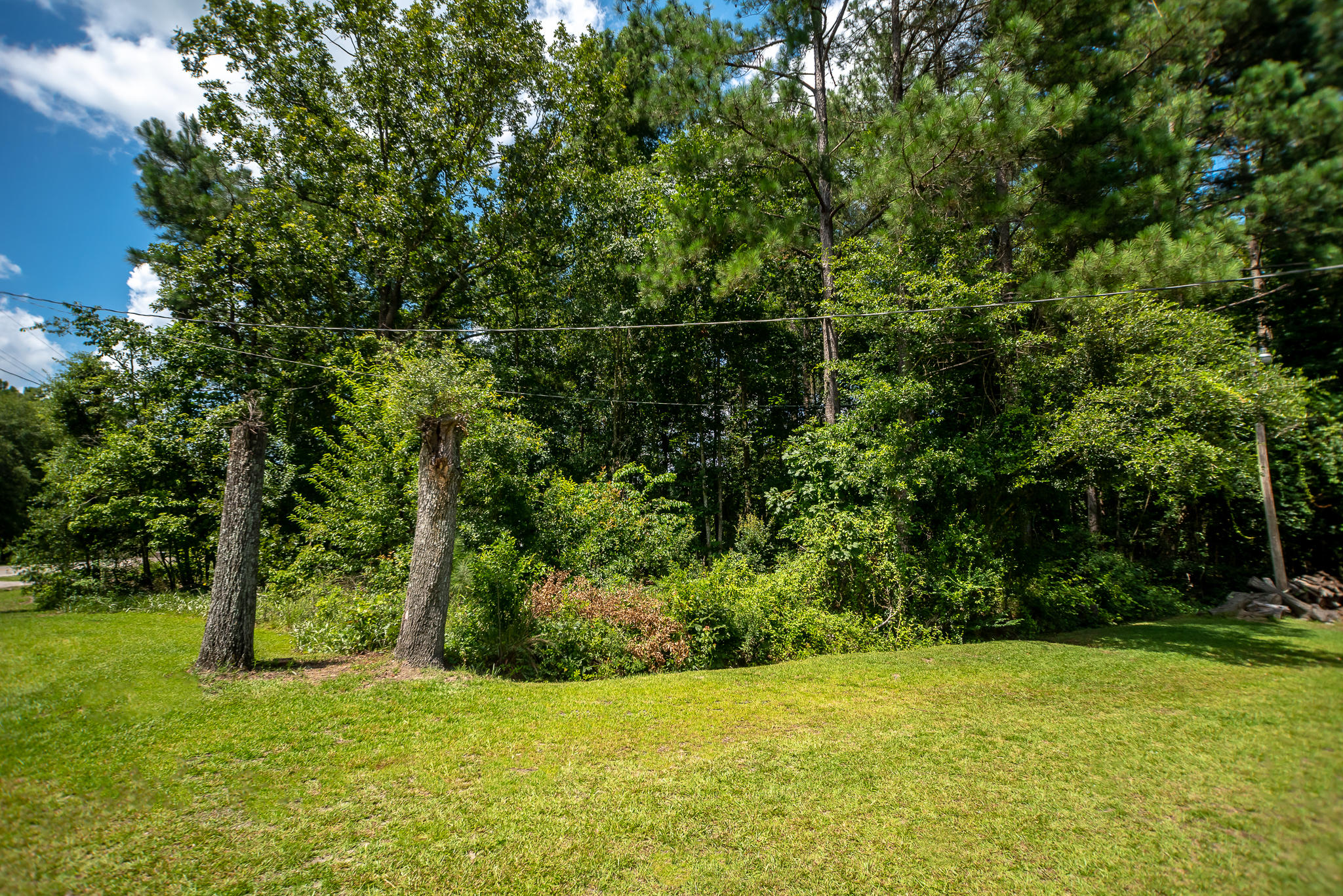 0 Baggette Road Manning, SC 29102 - Photo 2 of 2 1759 Baggette Rd for Andrella Pusha (32