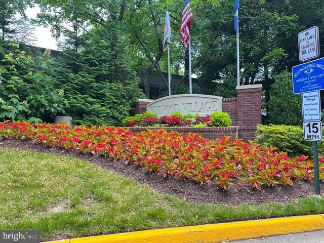 a view of an outdoor space