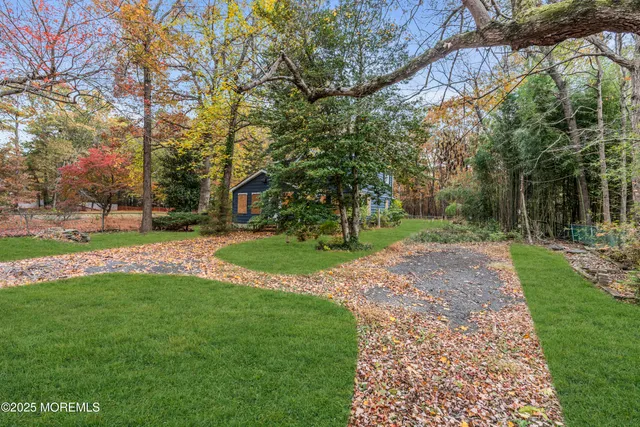 a view of a park with large trees
