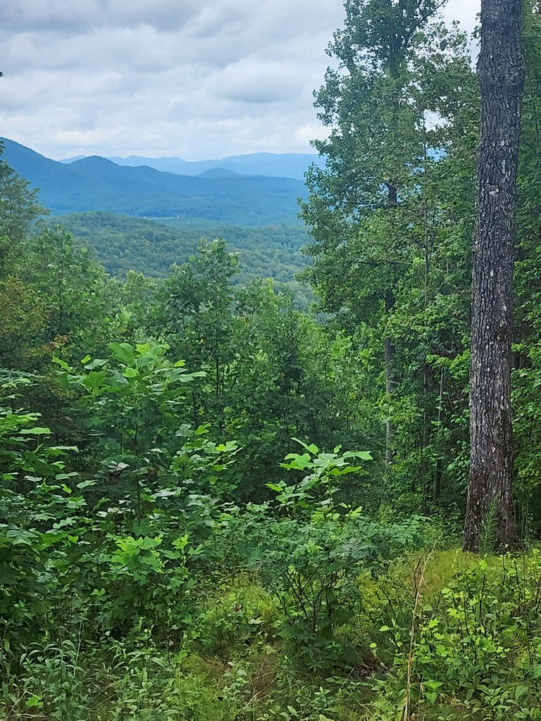 0 Vance Mountain Road Murphy, NC 28906 - Photo 11 of 15 Potential View