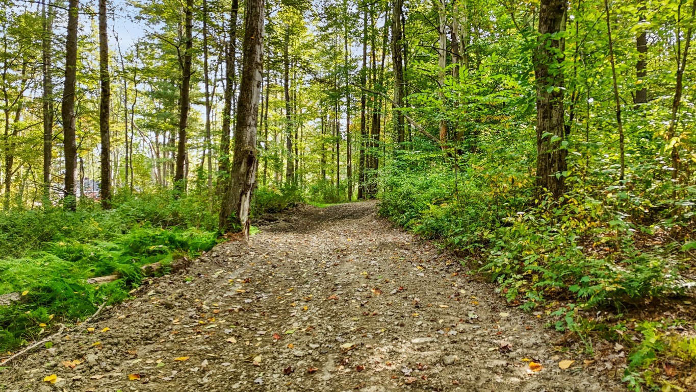 0 Forest Hill Road Apalachin, NY 13732 - Photo 11 of 20