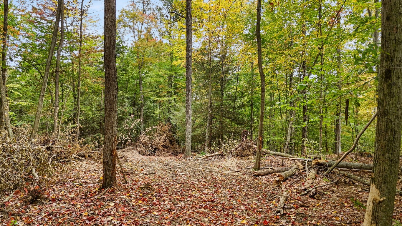 0 Forest Hill Road Apalachin, NY 13732 - Photo 12 of 20