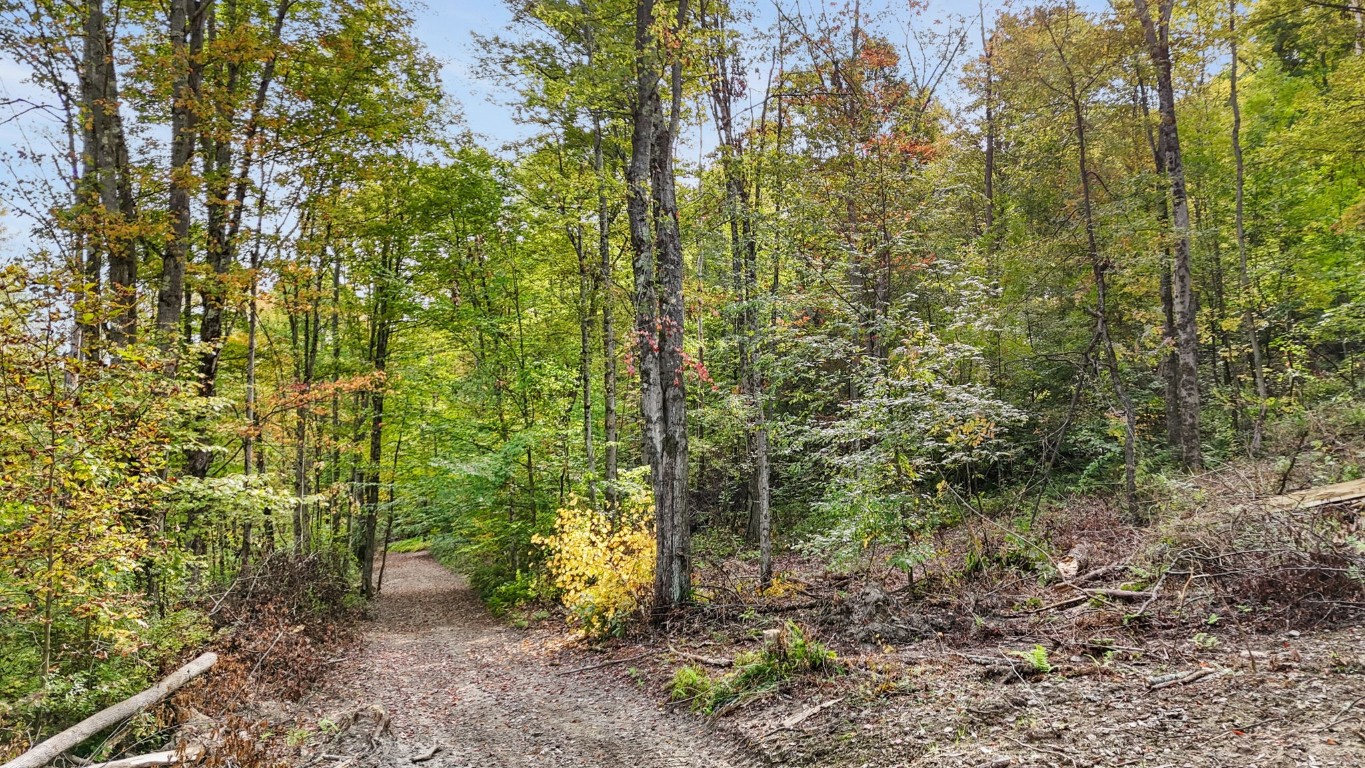 0 Forest Hill Road Apalachin, NY 13732 - Photo 13 of 20