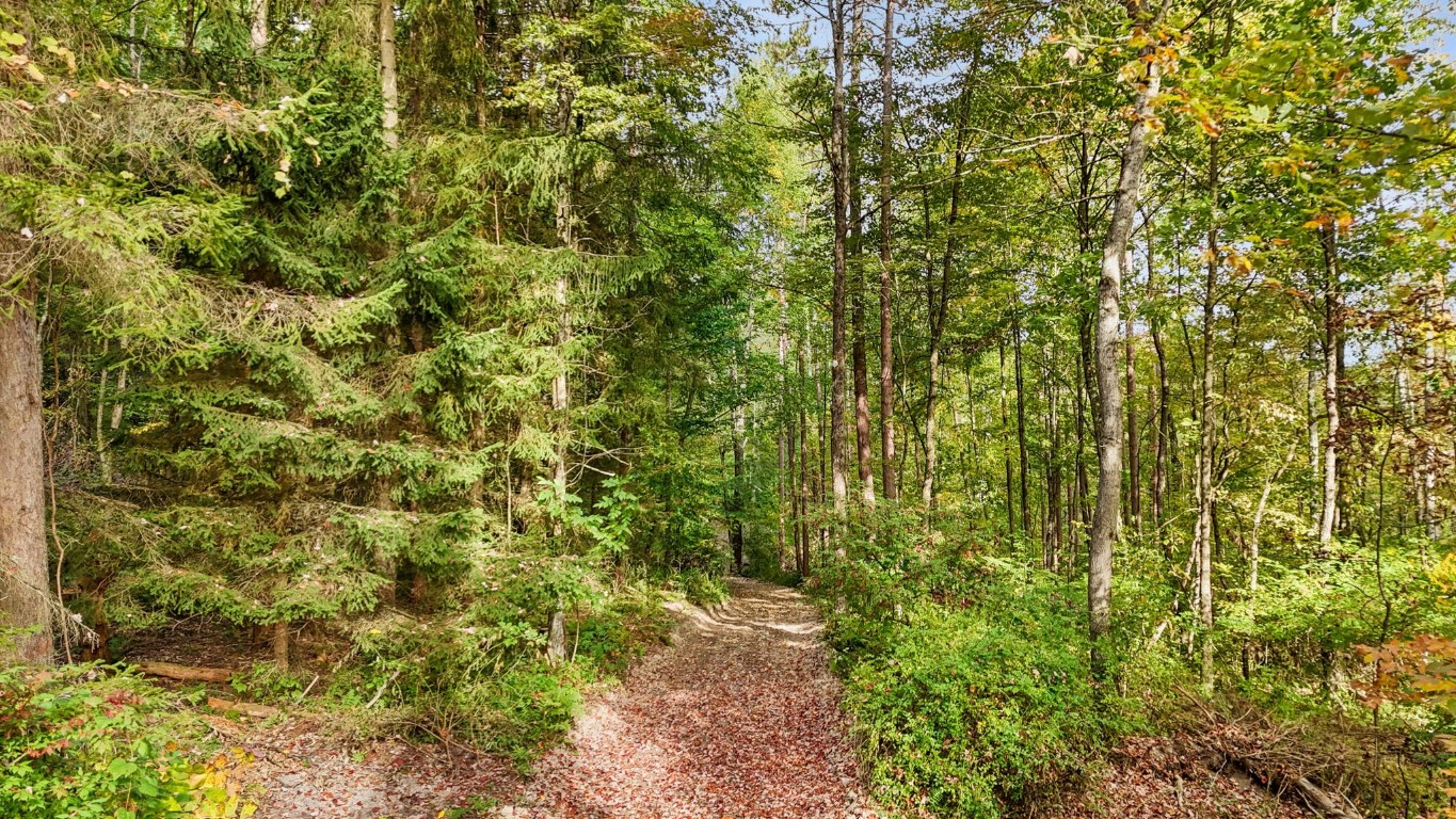 0 Forest Hill Road Apalachin, NY 13732 - Photo 14 of 20