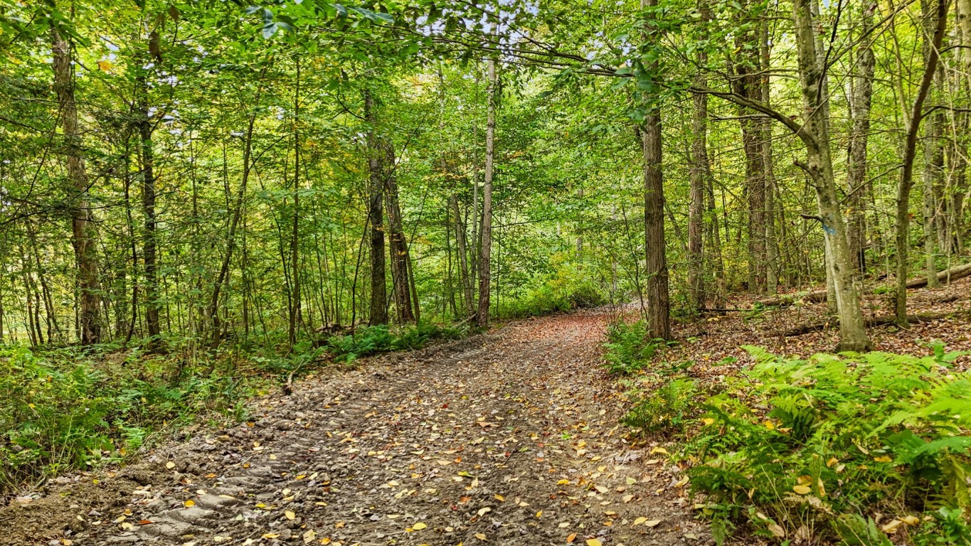 0 Forest Hill Road Apalachin, NY 13732 - Photo 16 of 20