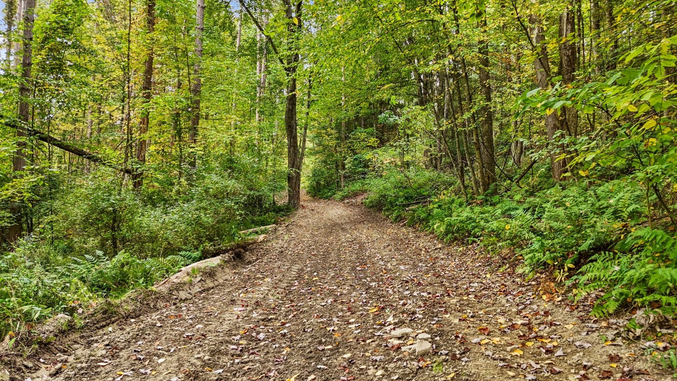 0 Forest Hill Road Apalachin, NY 13732 - Photo 17 of 20