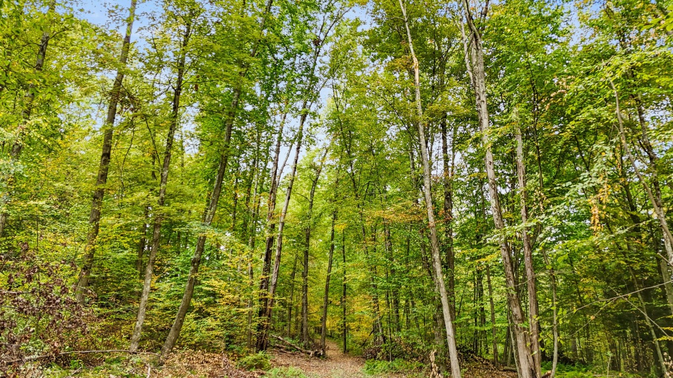 0 Forest Hill Road Apalachin, NY 13732 - Photo 19 of 20