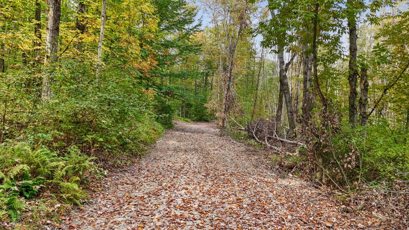 0 Forest Hill Road Apalachin, NY 13732 - Photo 2 of 20