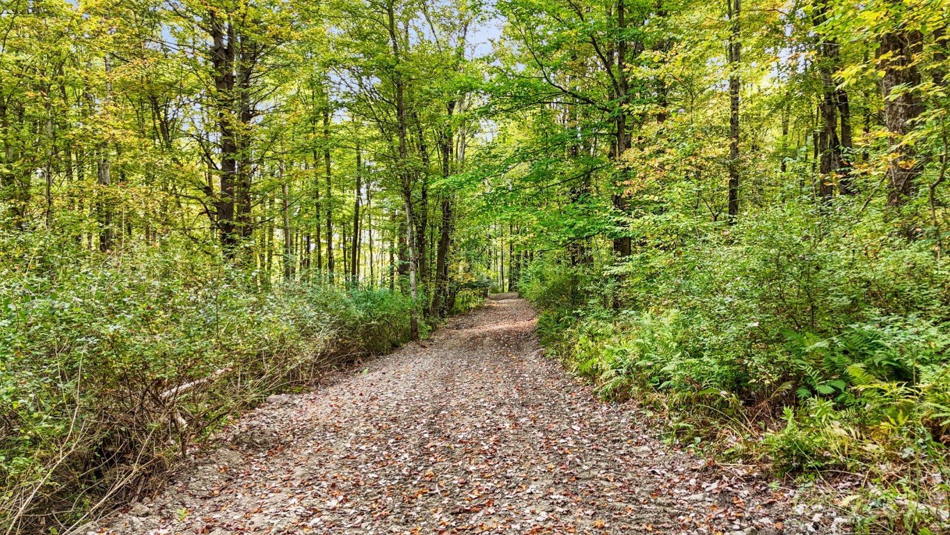 0 Forest Hill Road Apalachin, NY 13732 - Photo 3 of 20