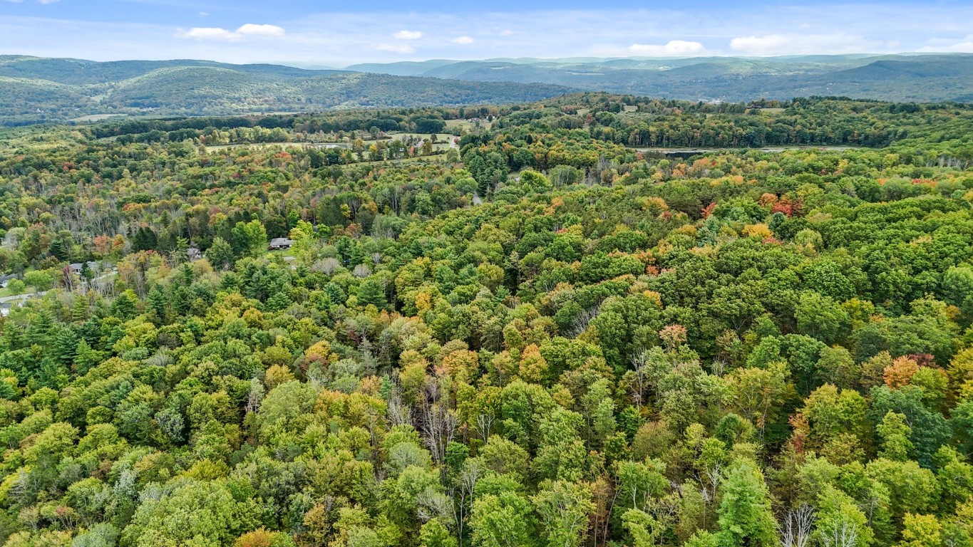 0 Forest Hill Road Apalachin, NY 13732 - Photo 4 of 20