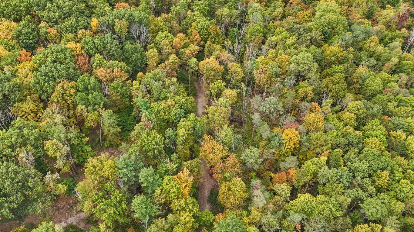 0 Forest Hill Road Apalachin, NY 13732 - Photo 6 of 20