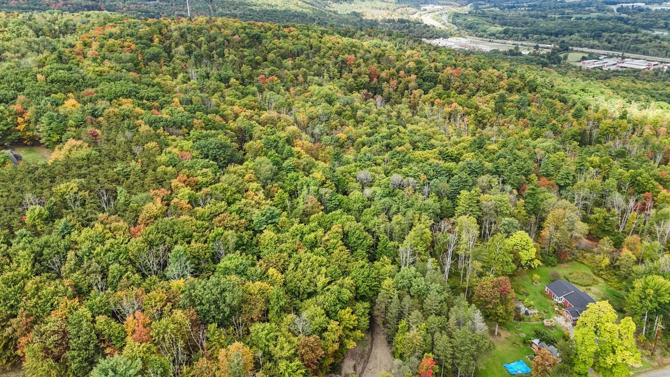 0 Forest Hill Road Apalachin, NY 13732 - Photo 7 of 20