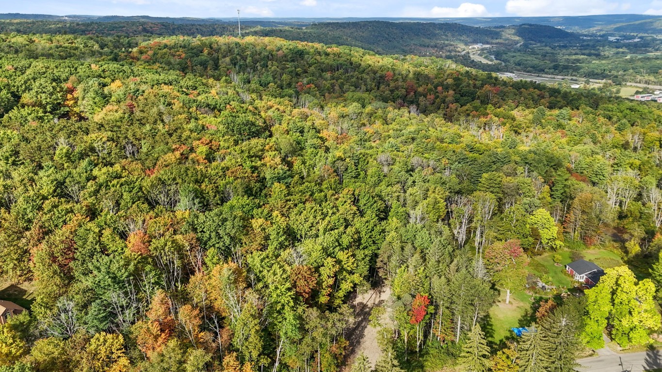 0 Forest Hill Road Apalachin, NY 13732 - Photo 8 of 20