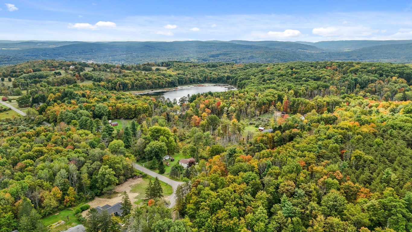0 Forest Hill Road Apalachin, NY 13732 - Photo 9 of 20