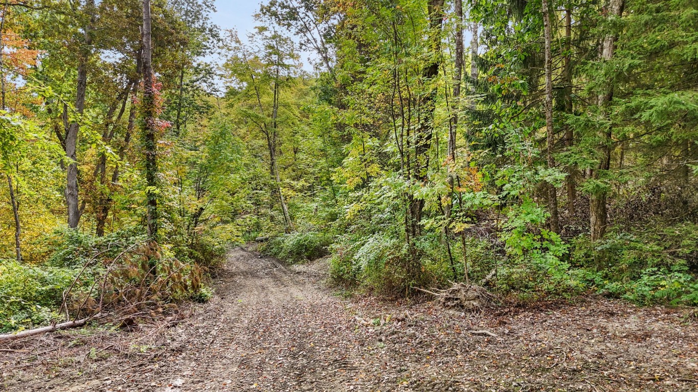 0 Forest Hill Road Apalachin, NY 13732 - Photo 10 of 20