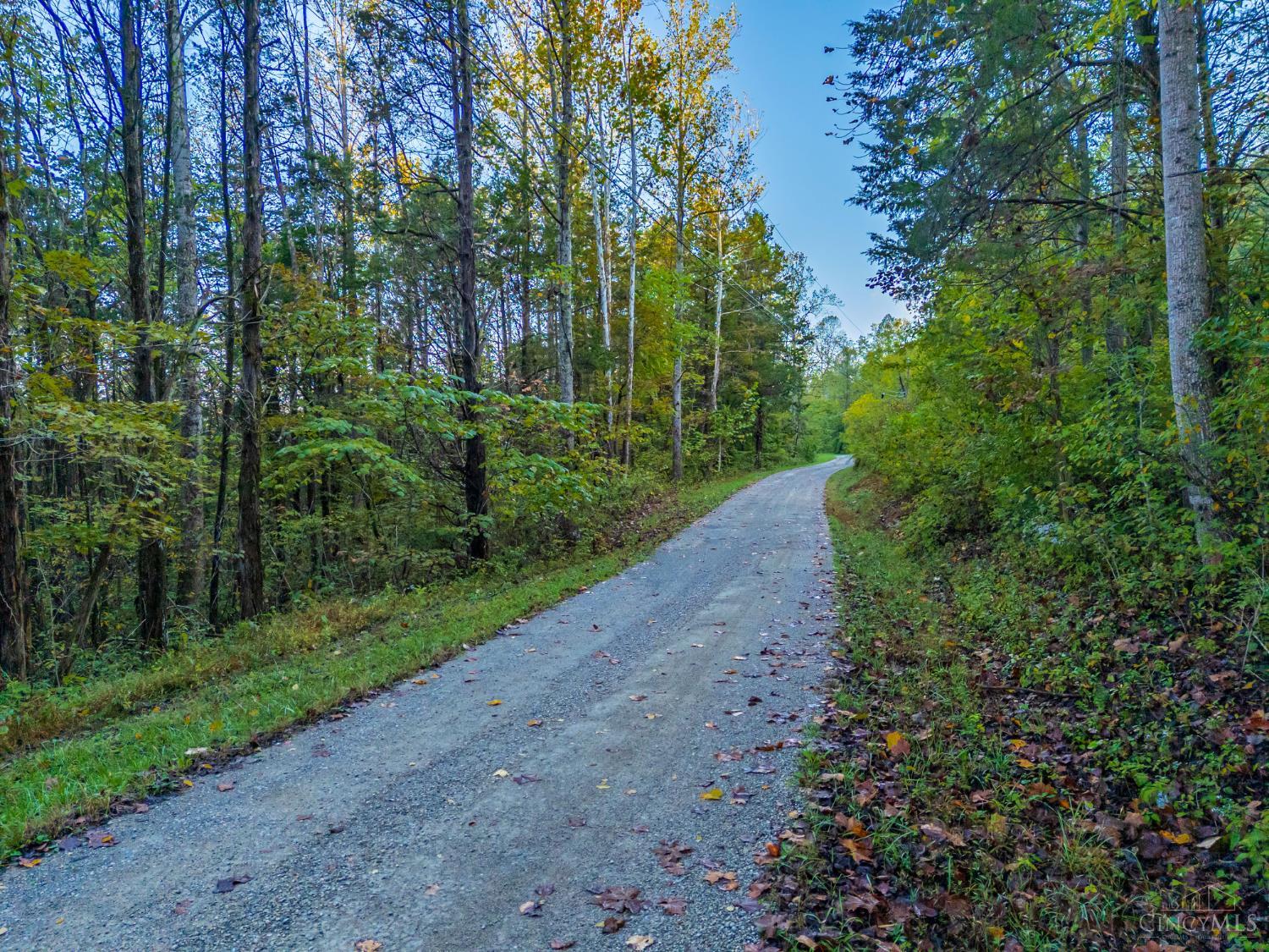 0 Paradise Valley Road West Union, OH 45693 - Photo 4 of 8