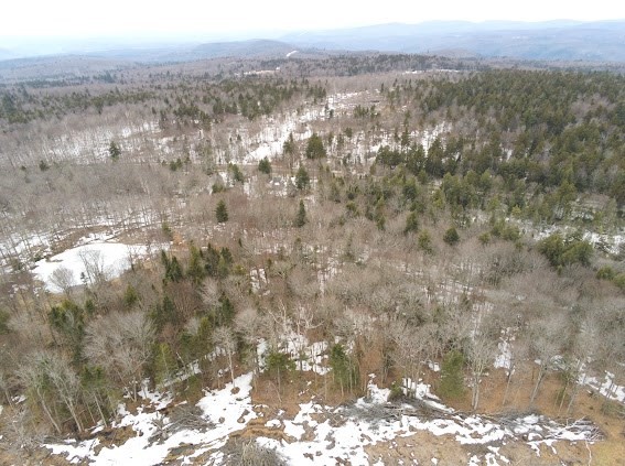 5 Leshures Road Rowe, MA 01367 - Photo 11 of 22