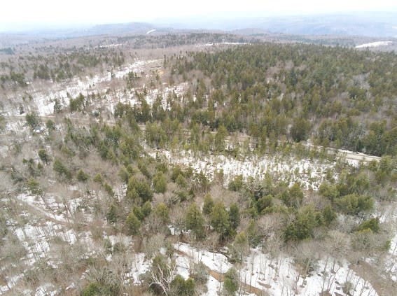 5 Leshures Road Rowe, MA 01367 - Photo 21 of 22