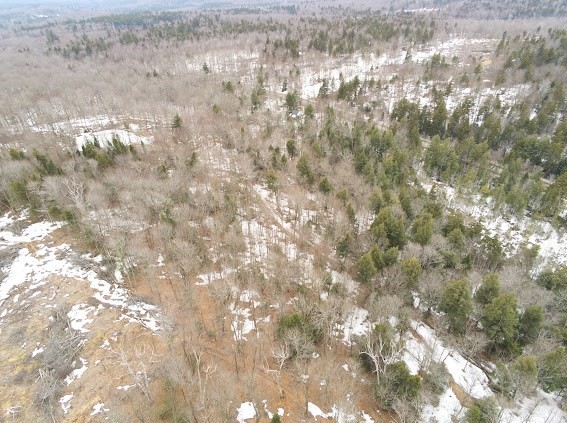 5 Leshures Road Rowe, MA 01367 - Photo 22 of 22