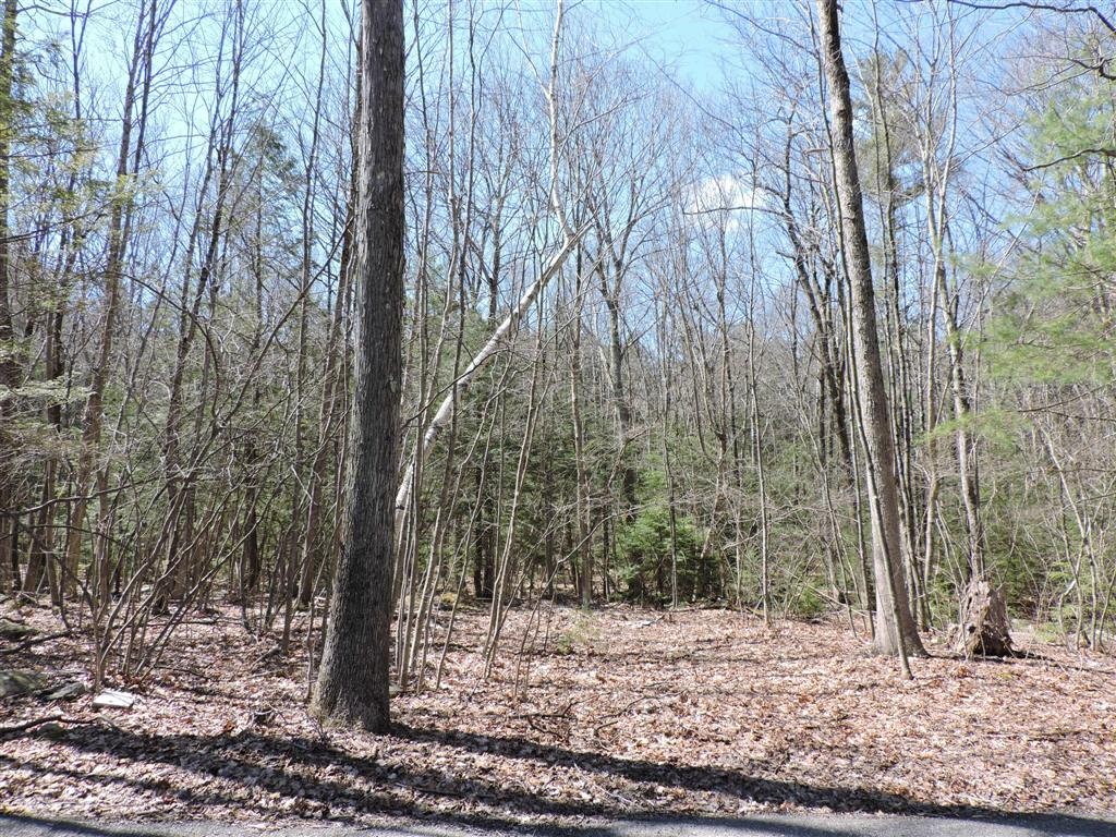 92 Depot Road Oxford, MA 01540 - Photo 3 of 6 Gallery Image 3