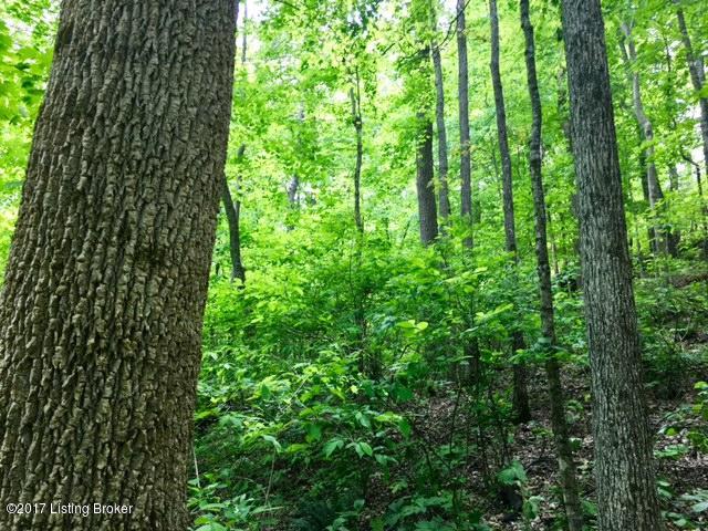 0 Mark Ridge Road Garfield, KY 40140 - Photo 19 of 43 19