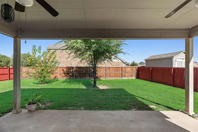 a view of garden with plants