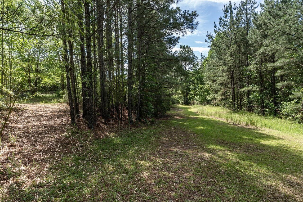 5714 Cheek Road Durham, NC 27704 - Photo 66 of 91 Photo 66
