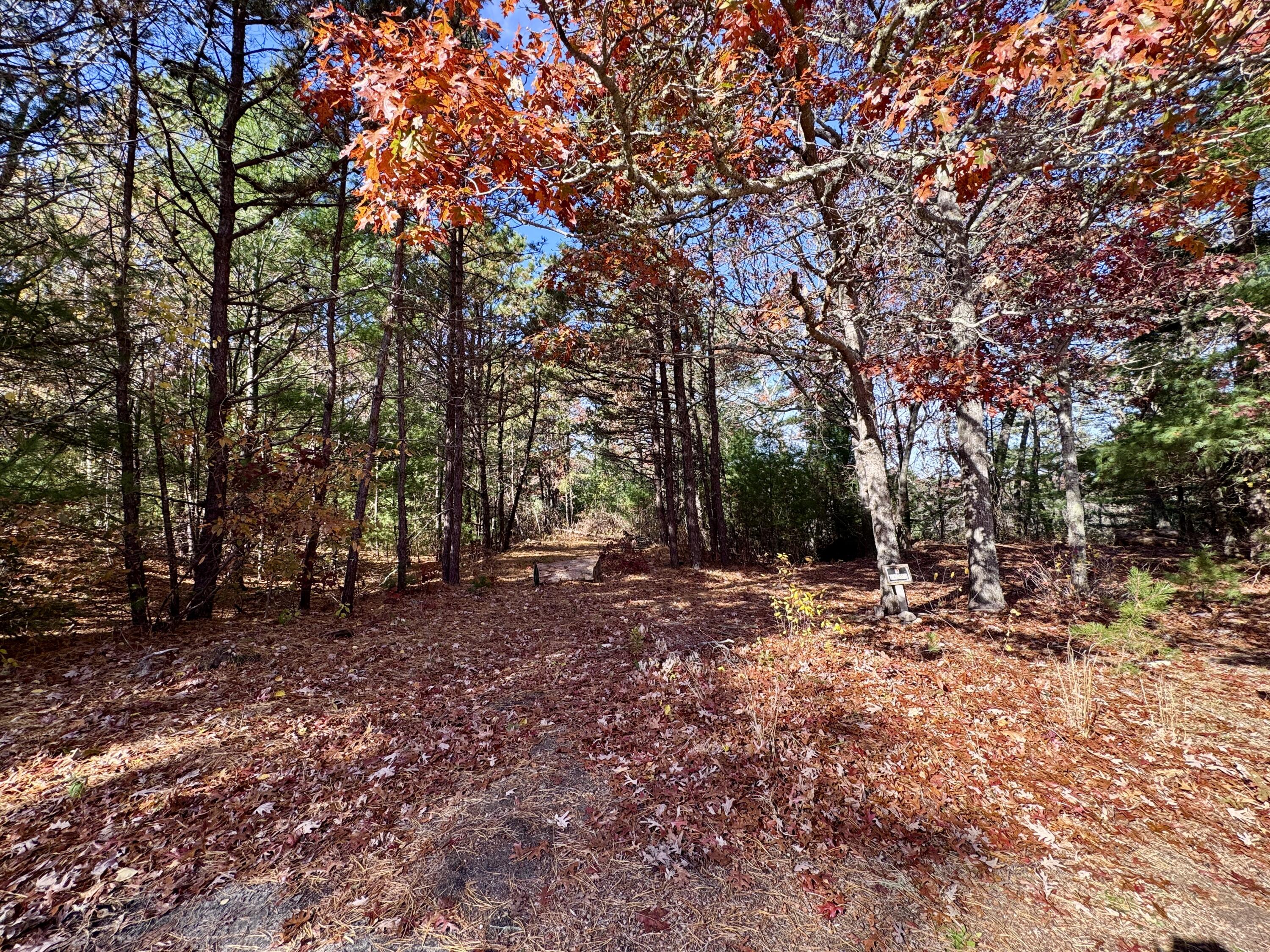 14 Great Rock Road Monument Beach, MA 02532 - Photo 1 of 4 a view of a yard with a tree