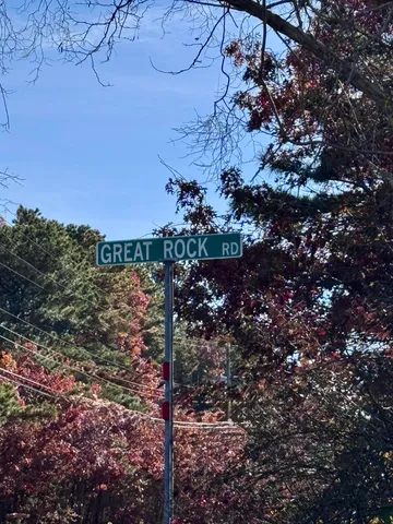 a view of a tree in a backyard