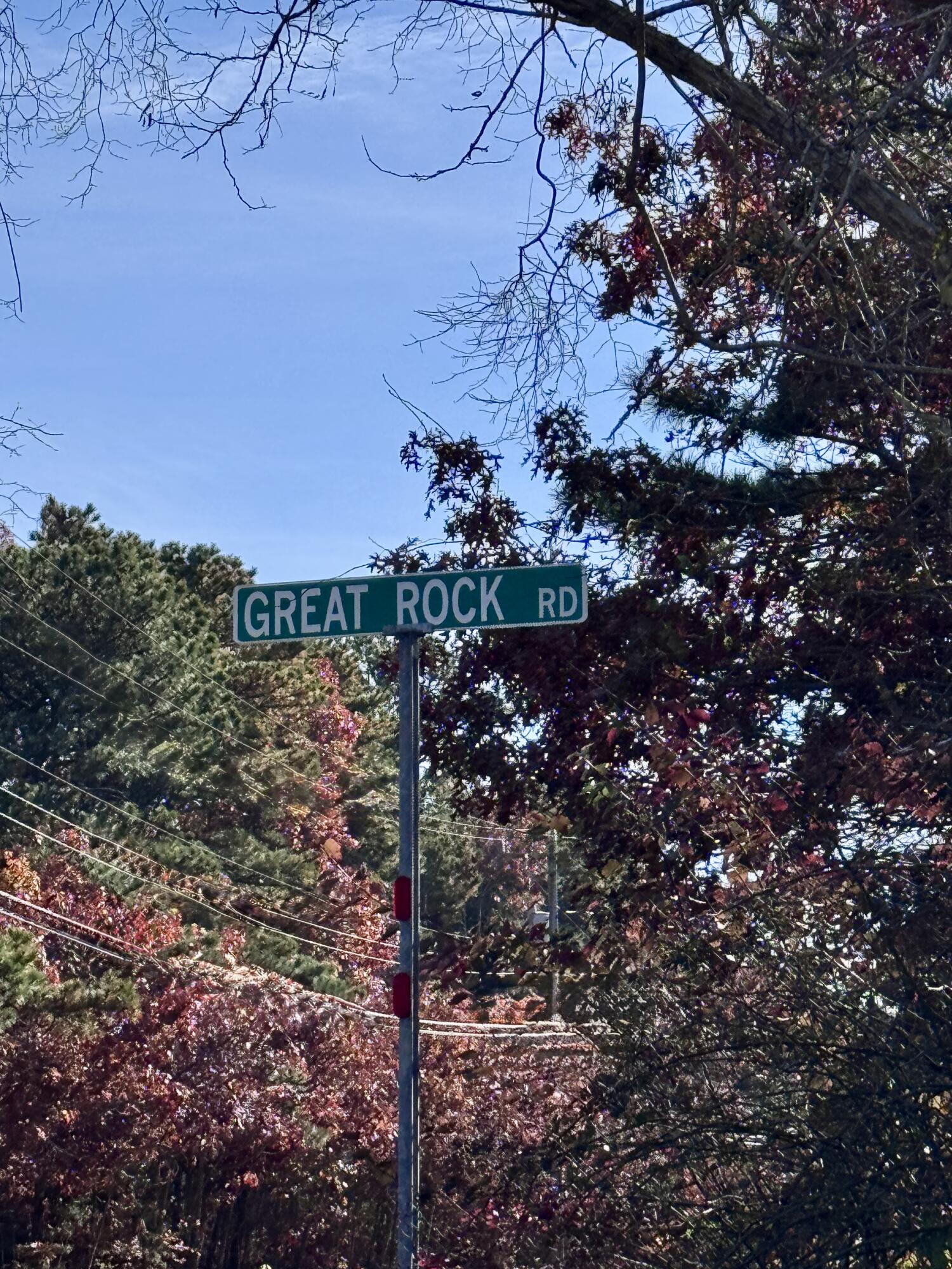 14 Great Rock Road Monument Beach, MA 02532 - Photo 3 of 4 a view of a tree in a backyard
