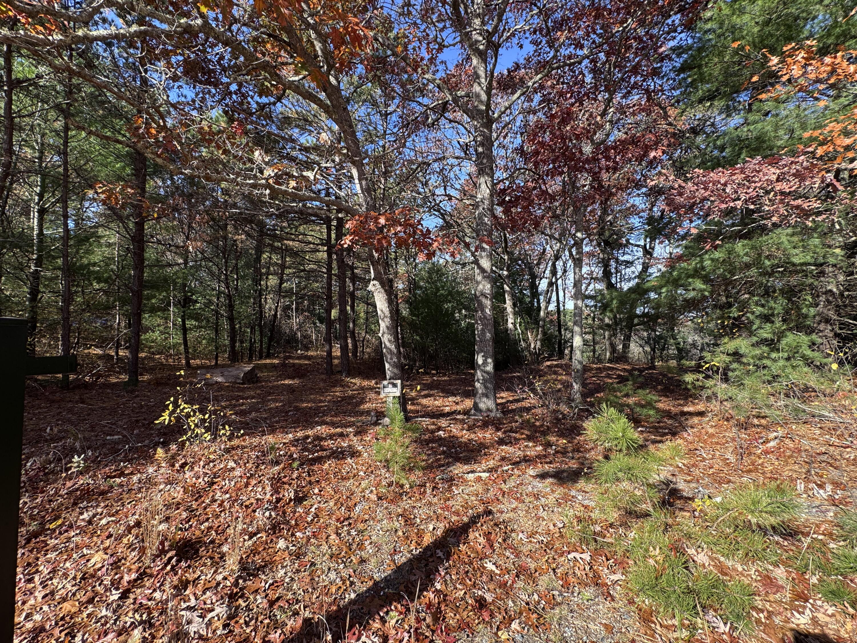 14 Great Rock Road Monument Beach, MA 02532 - Photo 4 of 4 a view of a tree in the middle of a yard