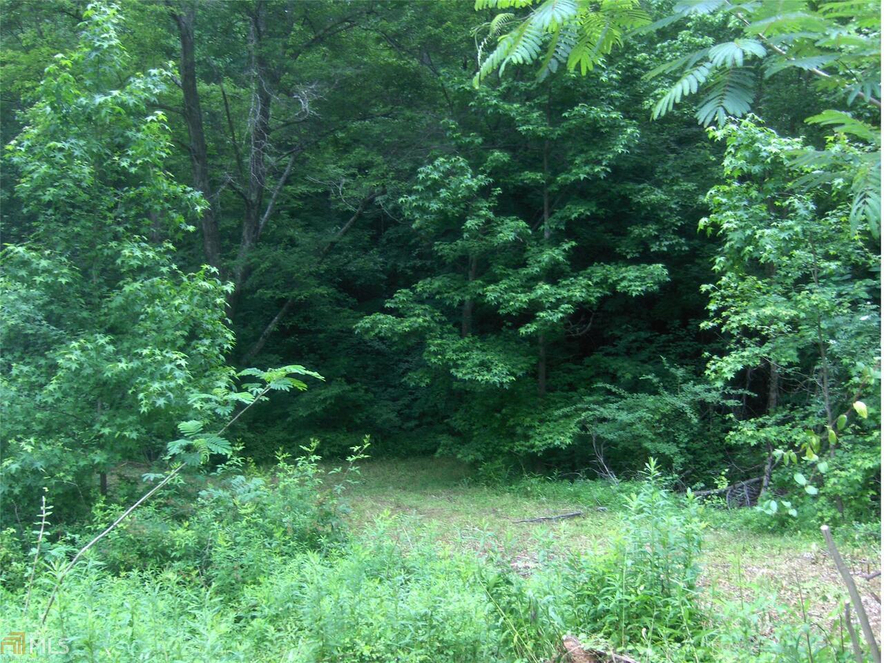 0 Wagers Mill Road, Unit 20 / ACRES Newnan, GA 30263 - Photo 1 of 1 a view of a lush green forest