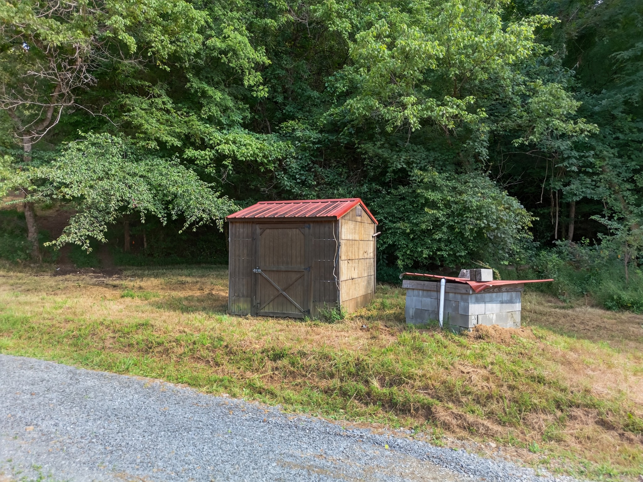 53 Daves Hollow Road Fayetteville, TN 37334 - Photo 17 of 40 a view of a backyard with large trees