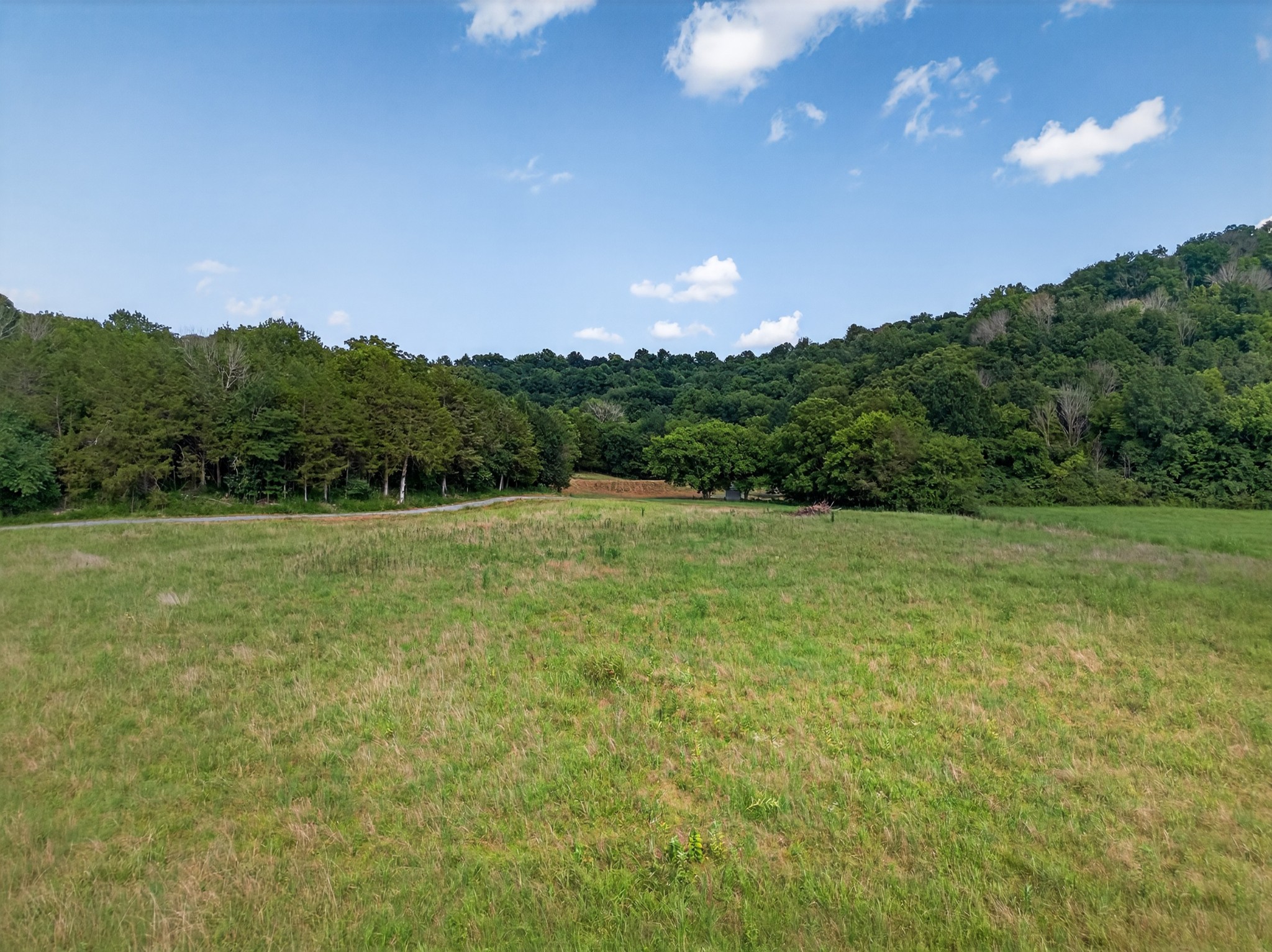 53 Daves Hollow Road Fayetteville, TN 37334 - Photo 22 of 40 a view of a grassy field with trees in the background