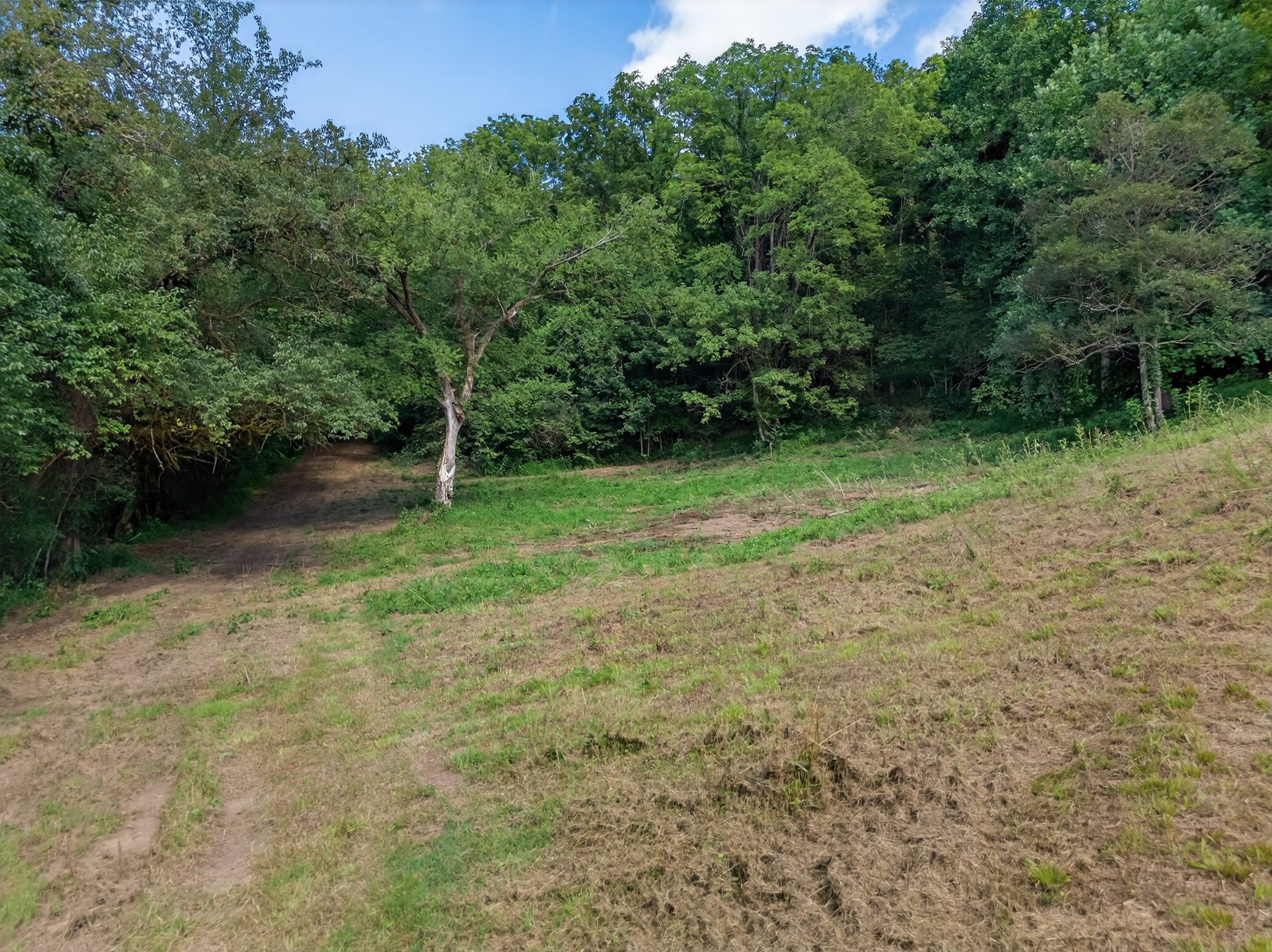 53 Daves Hollow Road Fayetteville, TN 37334 - Photo 27 of 40 a view of outdoor space with deck and yard