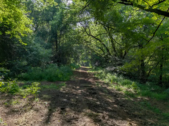 a big yard with lots of green space and tiles