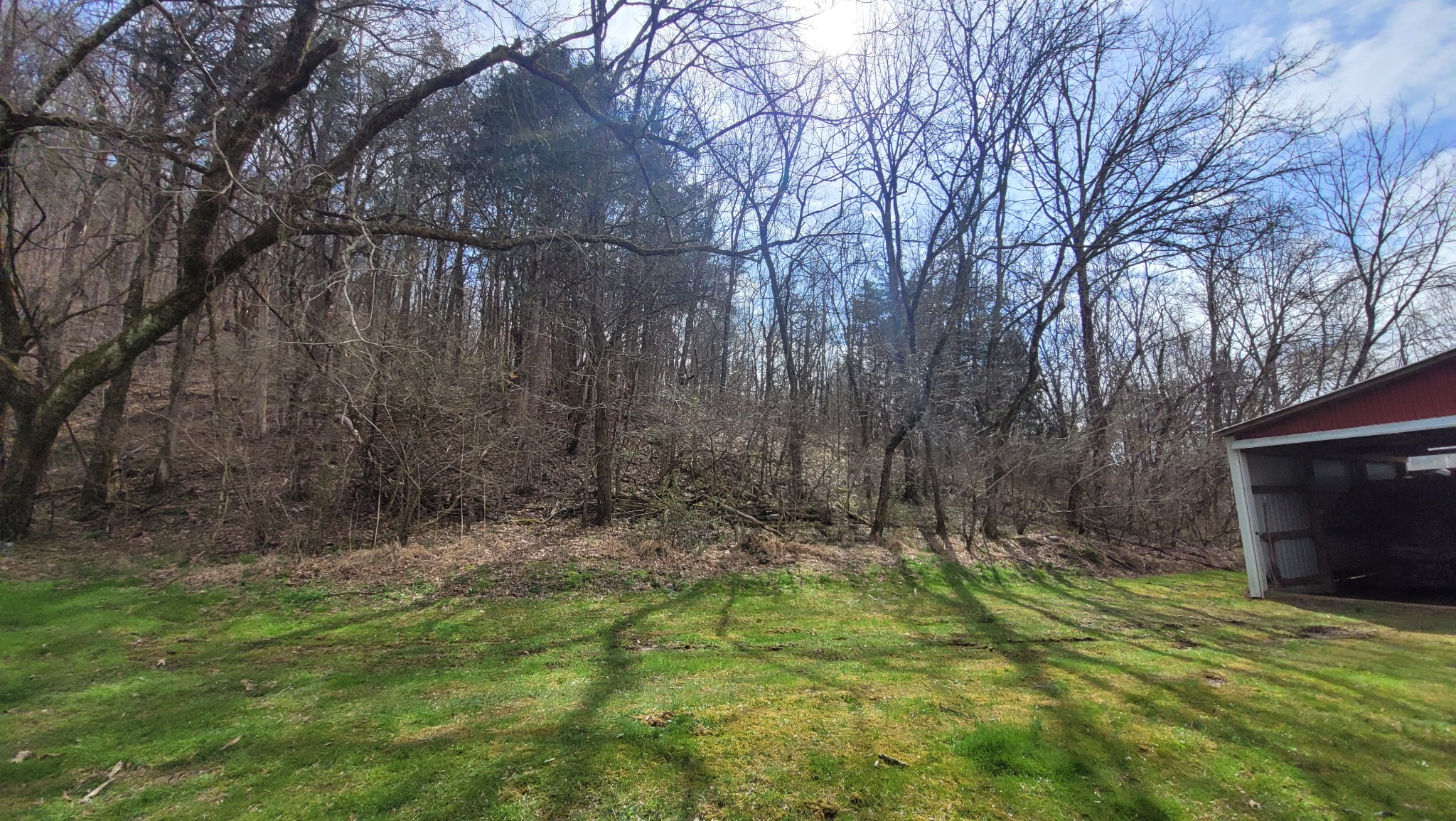 53 Daves Hollow Road Fayetteville, TN 37334 - Photo 35 of 40 a backyard of a house with lots of green space