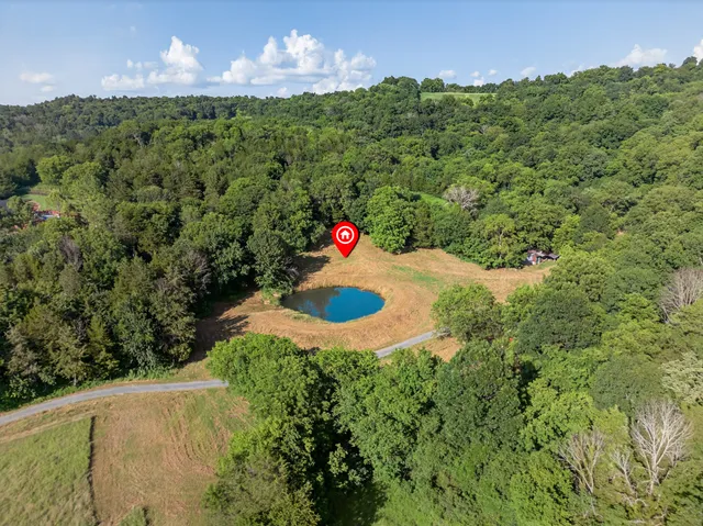 a view of a garden with an outdoor space