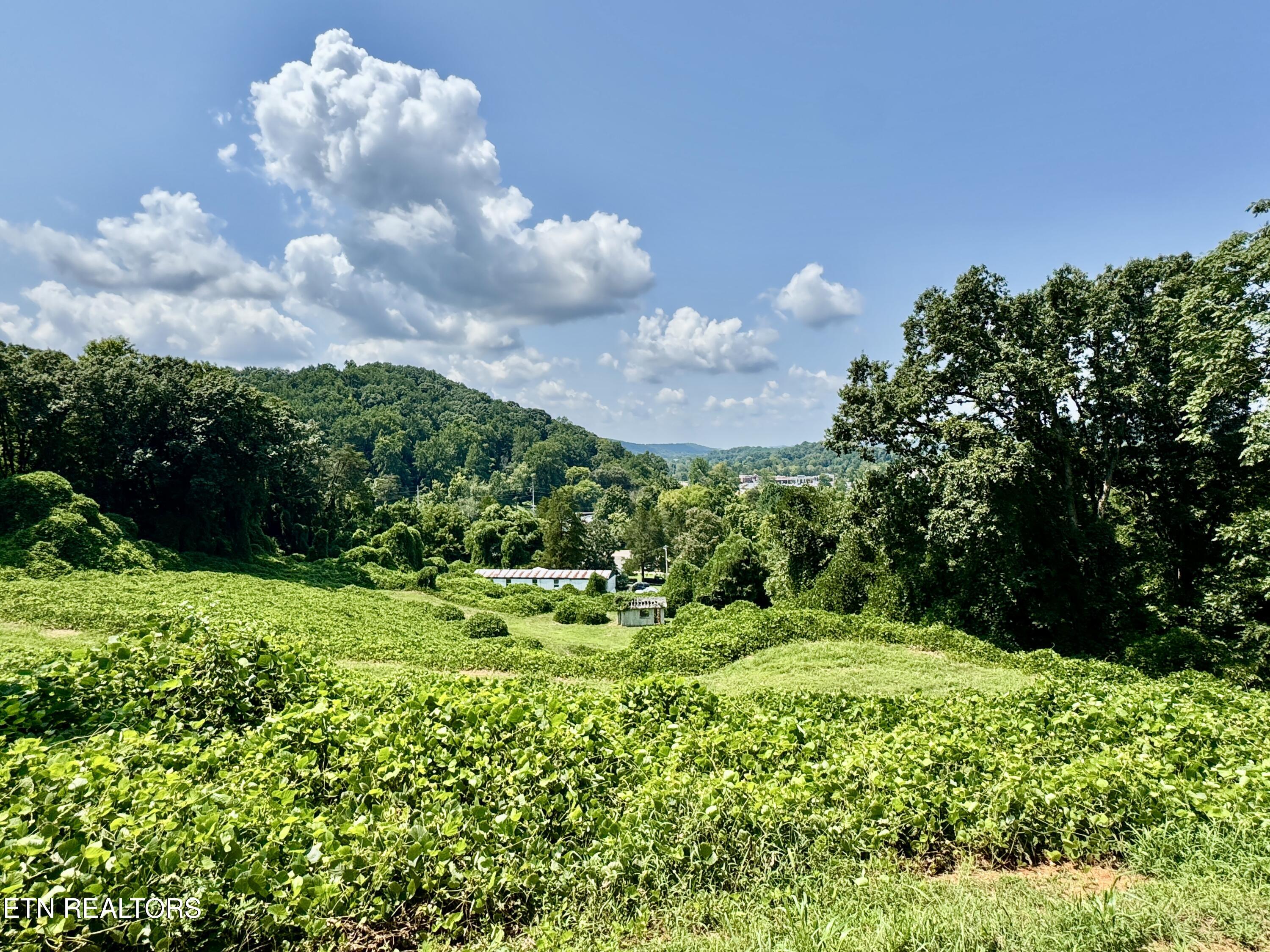 0 Tecoy Quarry Road Northwest Knoxville, TN 37921 - Photo 33 of 37 1-34