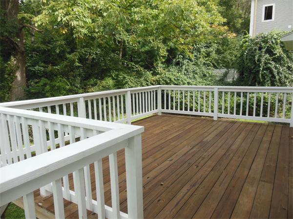 21 Bellflower Street Lexington, MA 02421 - Photo 8 of 8