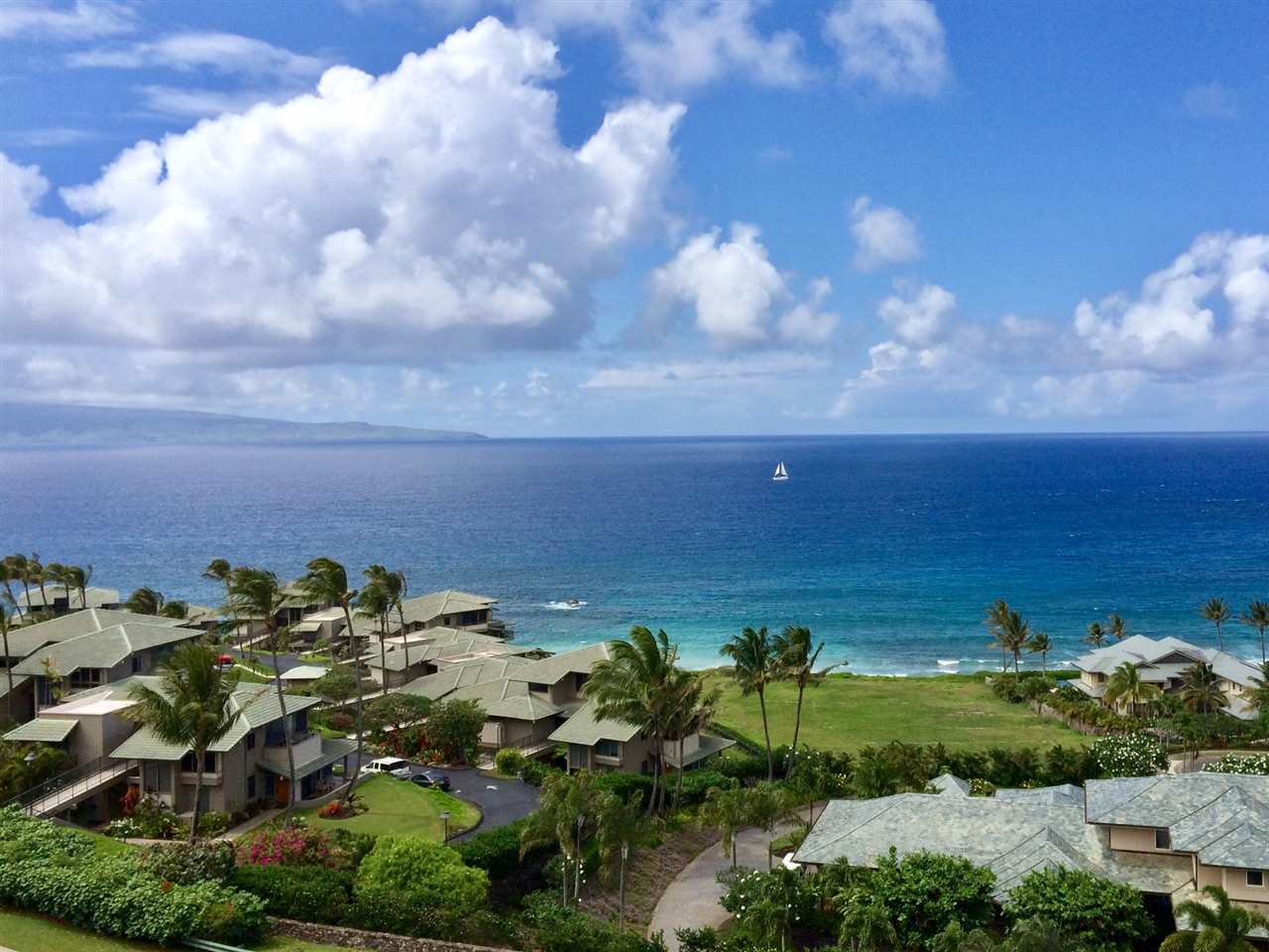 a view of a bunch of trees and houses