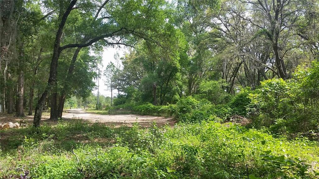 23052 Lake Seneca Road Eustis, FL 32736 - Photo 1 of 1 Gallery Image 1