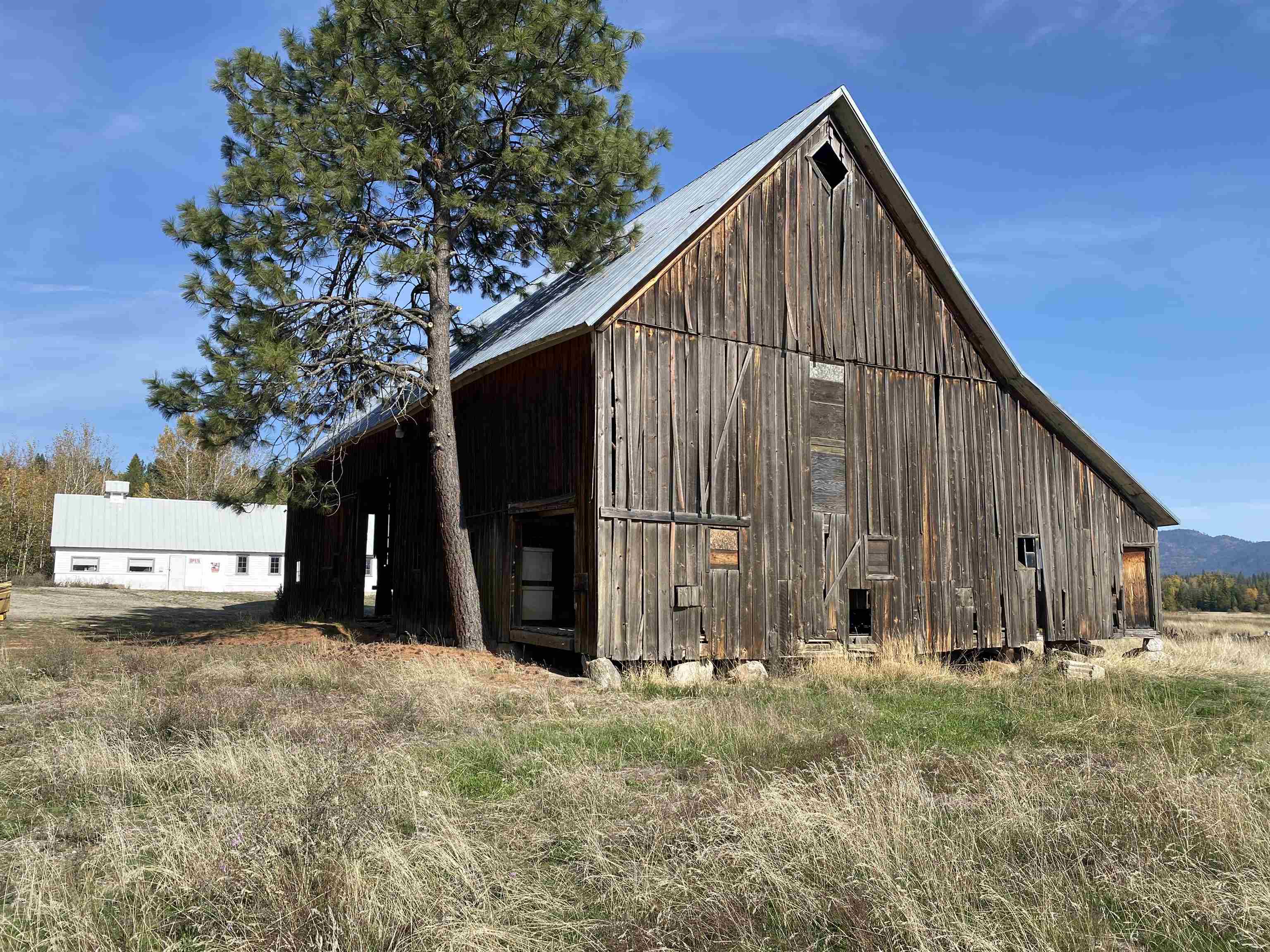 19762 Westside Calispel Road Cusick, WA 99119 - Photo 4 of 48