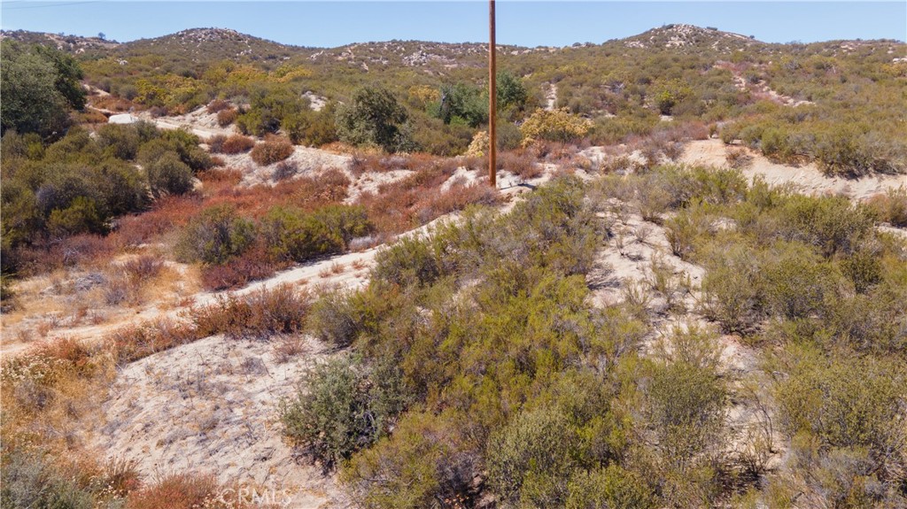 0 Denise Road Temecula, CA 92592 - Photo 1 of 1 a view of a forest with mountains in the background