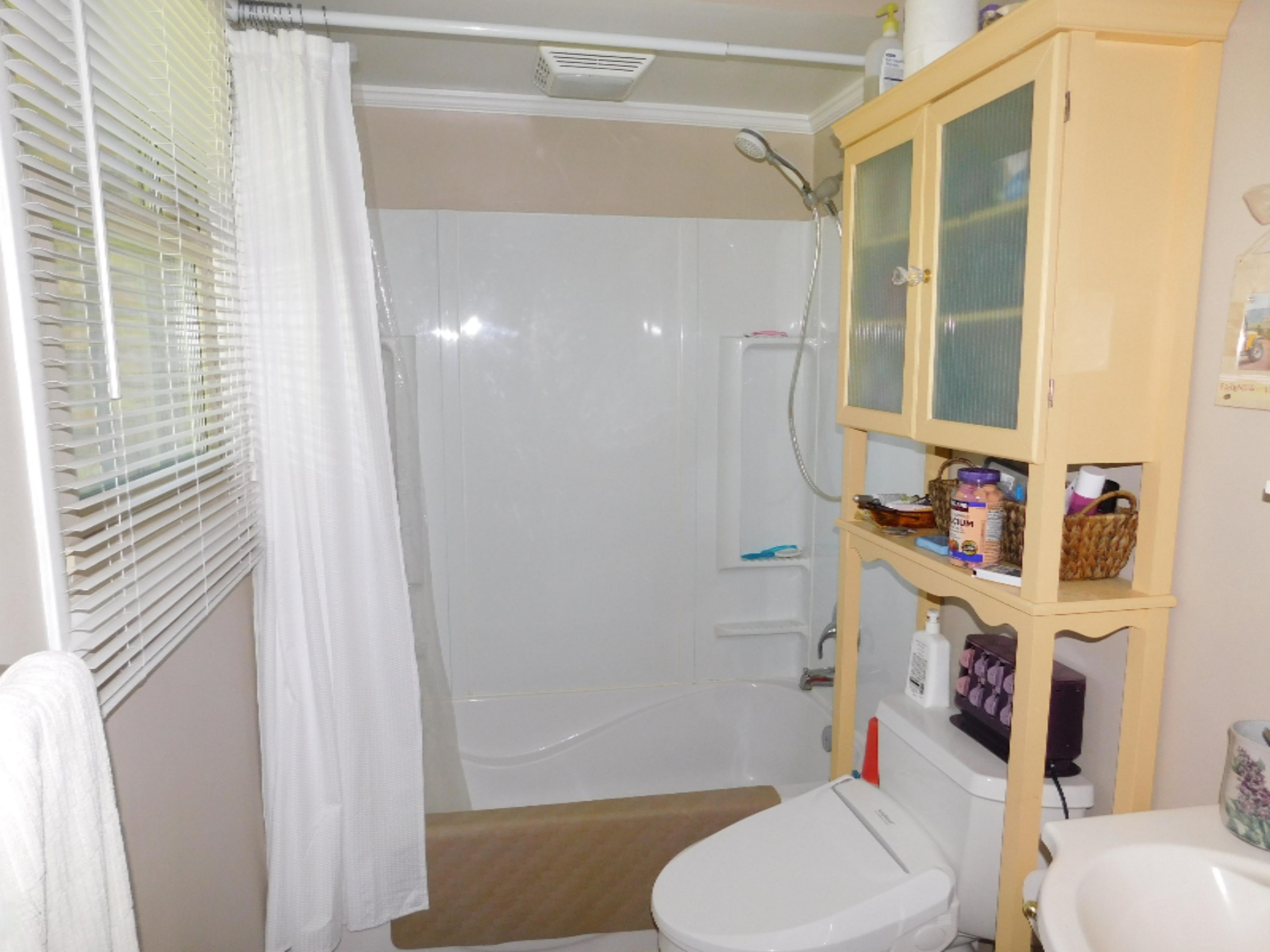 46156 Lakeview Drive Decatur, MI 49045 - Photo 27 of 32 DSCN1506