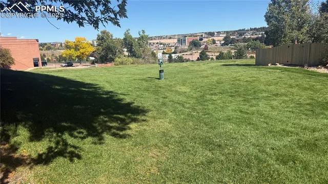 a view of backyard with green space